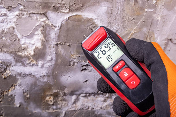 Best Professional Mold Removal  in Goose Creek Village, VA