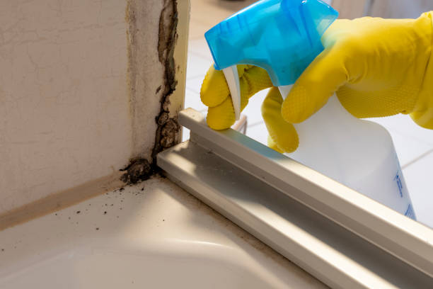 Best Residential Mold Removal  in Goose Creek Village, VA