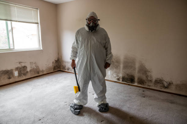 Best Attic Mold Removal  in Goose Creek Village, VA
